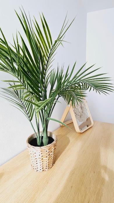 Ferienwohnung Boho Arenal Bol Con Parking Calp Exterior foto